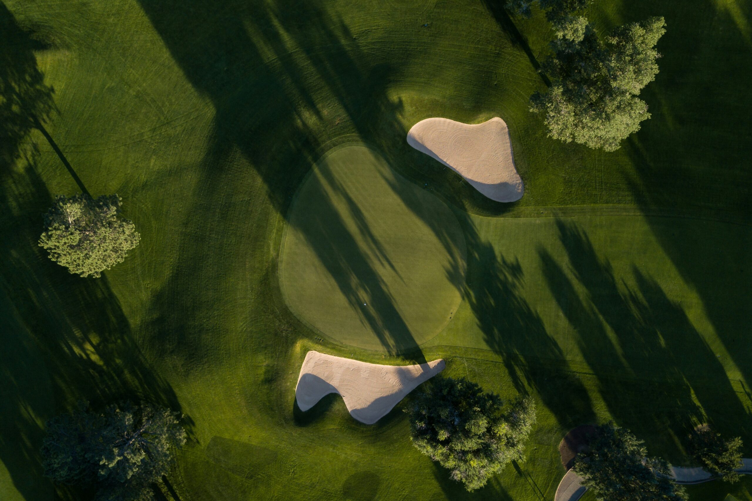 Aerial view of a green complex